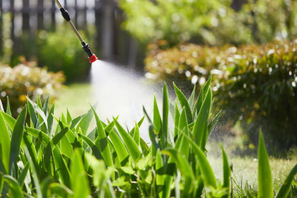 24/7 Emergency Mosquito Control experts in Coulee Dam, WA